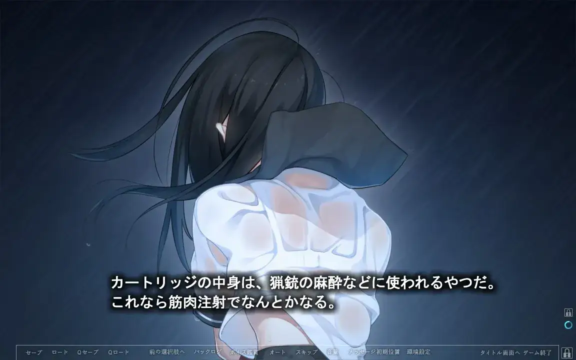 夏ノ鎖 夏之锁 PC平台 gal类型图片-4