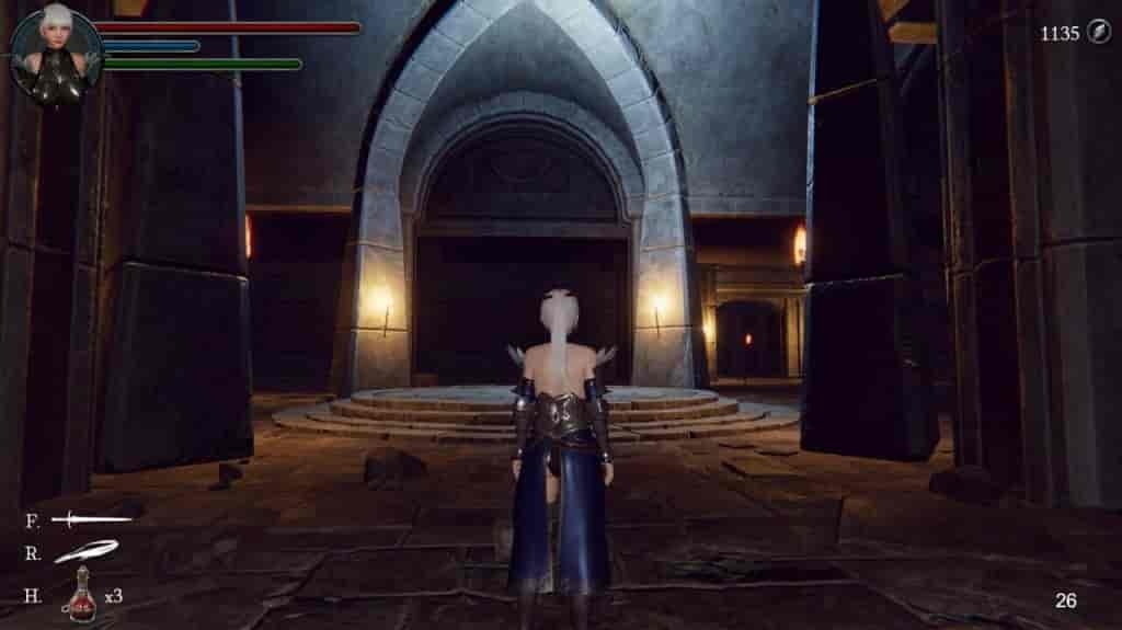 《地下城の女骑士：The Knight Girl And Dungeons》Ver25.01.23 Steam官中版：3D动态ACT+连招觉醒+3.3G极速下载图片-2