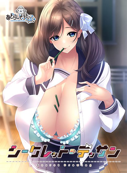 秘密素描v1.0 PC版 ADV汉化全CG存档完整游戏介绍