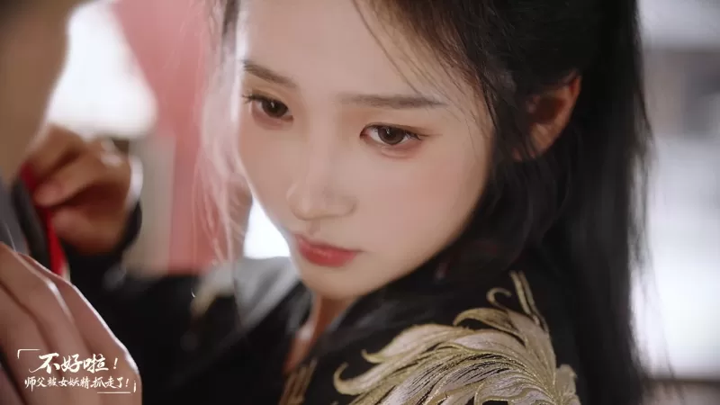 不好啦！师父被女妖精抓走了！/SIFU Kidnapped! Adventure in the Women\'s Kingdom PC版 横版动作解谜冒险 高清2K重制版图片-5