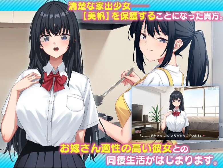 家出娘拾いました Runaway Girl SLG生活模拟 PC汉化版 v1.05 剧情向养成佳作 3G完整资源