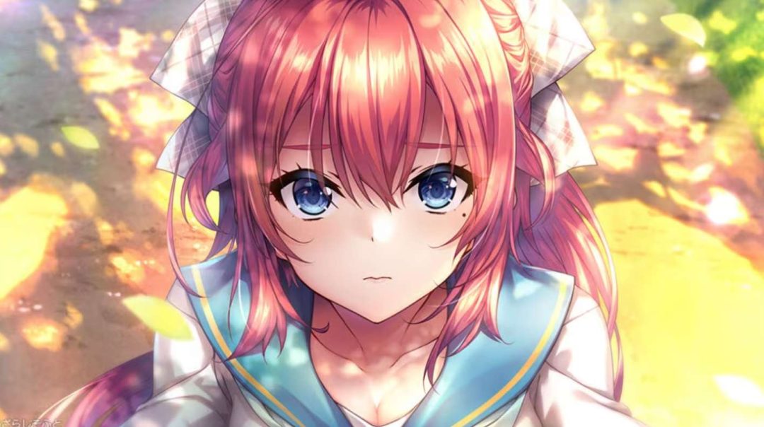 甜蜜夏日系列合集 あまなつシリーズ PC/TY模拟器版 纯爱治愈系视觉小说AVG 精翻汉化典藏版图片-1 甜蜜夏日系列合集 あまなつシリーズ PC/TY模拟器版 纯爱治愈系视觉小说AVG 精翻汉化典藏版图片-1